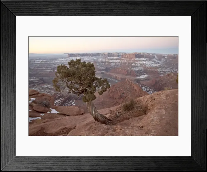 Framed Print : Juniper at the edge of the mesa in the winter with snow, Dead Horse State Park Framed Print : Juniper at the edge of the mesa in the winter with snow, Dead Horse State Park