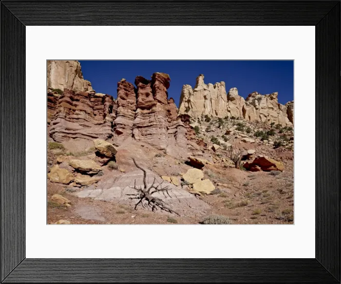 Framed Print : Rock formations and dead juniper, Grand Staircase-Escalante National Monument Framed Print : Rock formations and dead juniper, Grand Staircase-Escalante National Monument