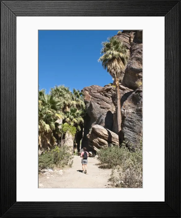 Framed Print : Hiking in Andreas Canyon, Indian Canyons, Palm Springs, California, United States of America Framed Print : Hiking in Andreas Canyon, Indian Canyons, Palm Springs, California, United States of America