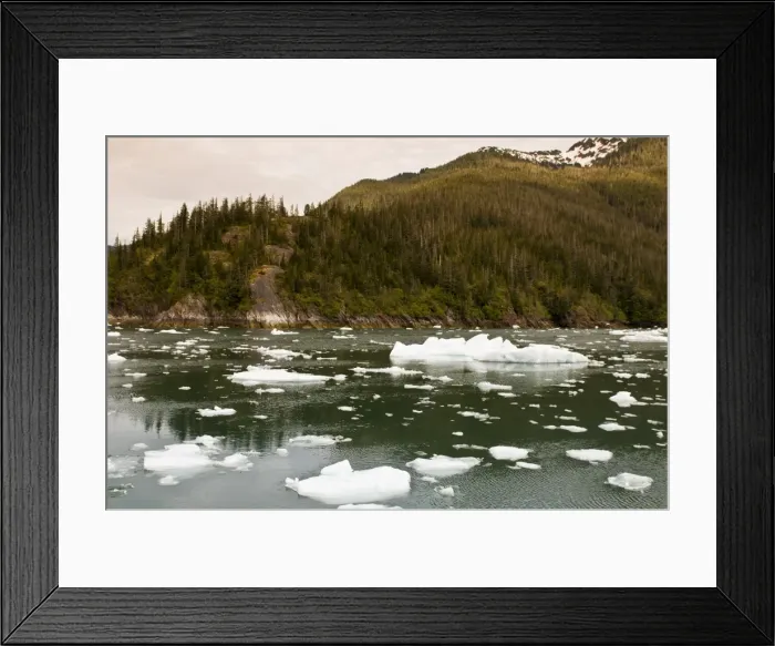 Framed Print : Iceberg in LeConte Bay, Southeast Alaska, Alaska, United States of America, North America Framed Print : Iceberg in LeConte Bay, Southeast Alaska, Alaska, United States of America, North America