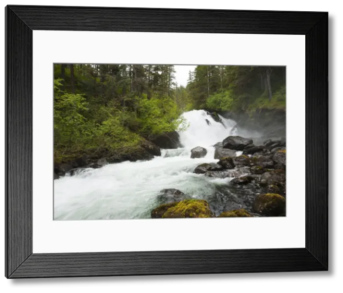 Framed Print : Cascade Creek, Thomas Bay region of Southeast Alaska, Alaska, United States of America Framed Print : Cascade Creek, Thomas Bay region of Southeast Alaska, Alaska, United States of America