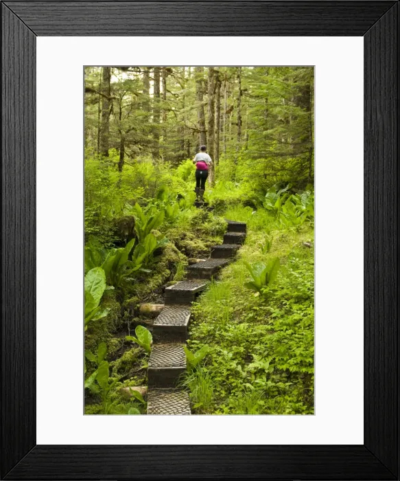 Framed Print : Hiking in the Ideal Cove area of Southeast Alaska, Alaska, United States of America Framed Print : Hiking in the Ideal Cove area of Southeast Alaska, Alaska, United States of America