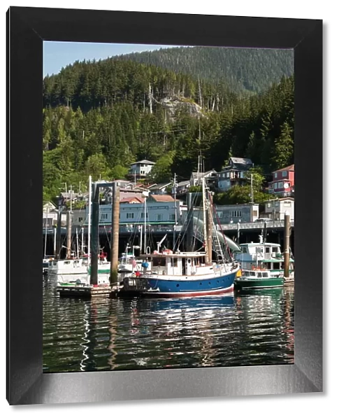 Fishing boats in Ketchikan harbor, Ketchikan, Southeast Alaska, United States of America