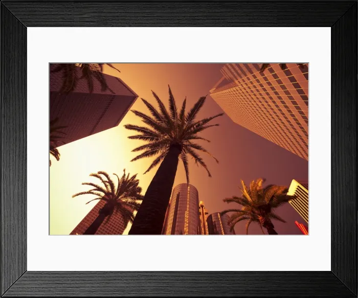 Framed Print : Downtown, Los Angeles, California, United States of America, North America