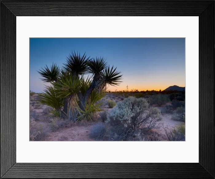 Framed Print : Mojave National Preserve, California, United States of America, North America Framed Print : Mojave National Preserve, California, United States of America, North America
