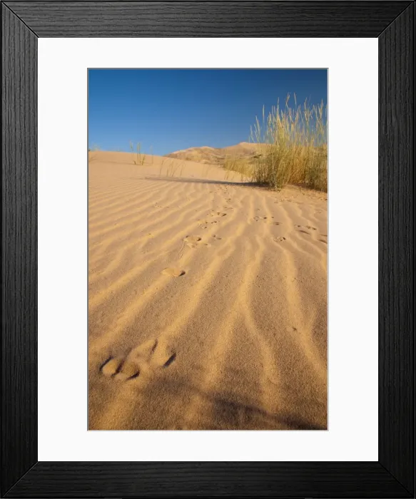 Framed Print : Kelso Dunes, Mojave National Preserve, California, United States of America Framed Print : Kelso Dunes, Mojave National Preserve, California, United States of America