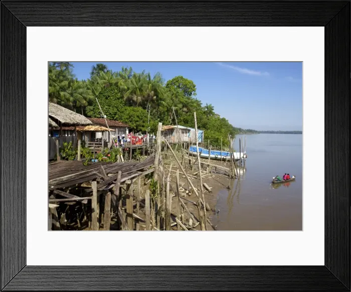 Framed Print : In the everglades of Belem area, Brazil, South America Framed Print : In the everglades of Belem area, Brazil, South America