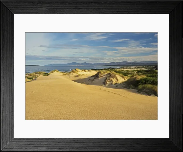 Framed Print : Sand dunes, St. Helens Conservation Area, St. Helens, Tasmania, Australia, Pacific Framed Print : Sand dunes, St. Helens Conservation Area, St. Helens, Tasmania, Australia, Pacific