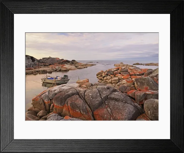Framed Print : Red lichen on Rocks, Bay of Fires, Bay of Fires Conservation Area, Tasmania Framed Print : Red lichen on Rocks, Bay of Fires, Bay of Fires Conservation Area, Tasmania