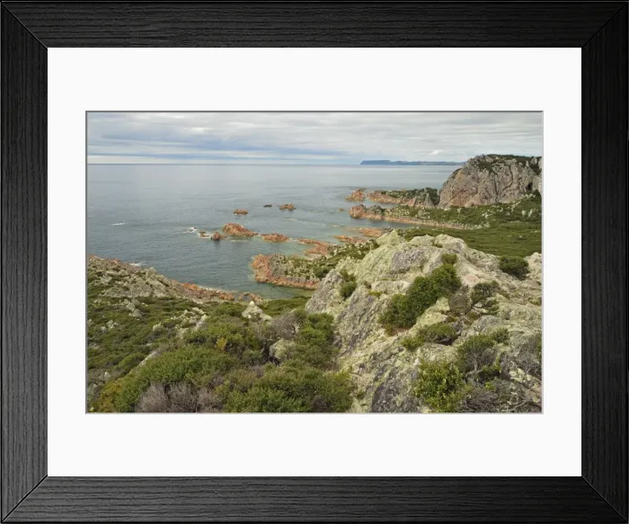 Framed Print : Rocky Cape, Rocky Cape National Park, Tasmania, Australia, Pacific Framed Print : Rocky Cape, Rocky Cape National Park, Tasmania, Australia, Pacific