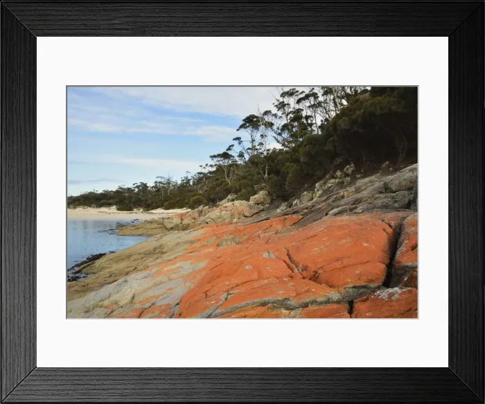 Framed Print : Red lichen on rocks, Wineglass Bay, Freycinet National Park, Freycinet Peninsula Framed Print : Red lichen on rocks, Wineglass Bay, Freycinet National Park, Freycinet Peninsula