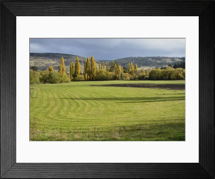 Framed Print : Farmland, Bushy Park, Tasmania, Australia, Pacific Framed Print : Farmland, Bushy Park, Tasmania, Australia, Pacific