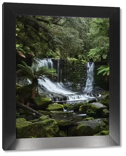 Horseshoe Falls, Mount Field National Park, UNESCO World Heritage Site