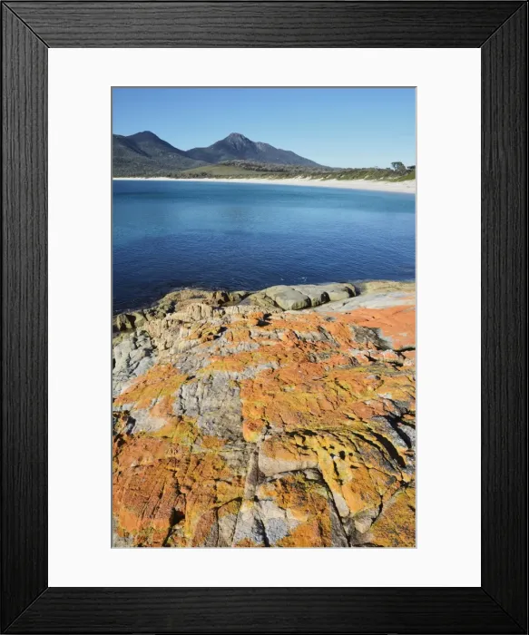 Framed Print : Red lichen on rocks, Wineglass Bay, Freycinet National Park, Freycinet Peninsula Framed Print : Red lichen on rocks, Wineglass Bay, Freycinet National Park, Freycinet Peninsula