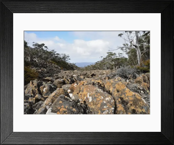 Framed Print : Moraine, Mount Field National Park, UNESCO World Heritage Site, Tasmania Framed Print : Moraine, Mount Field National Park, UNESCO World Heritage Site, Tasmania
