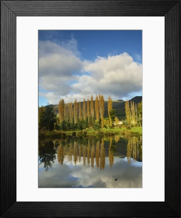 Framed Print : Rural scene, Maydena, Tasmania, Australia, Pacific Framed Print : Rural scene, Maydena, Tasmania, Australia, Pacific