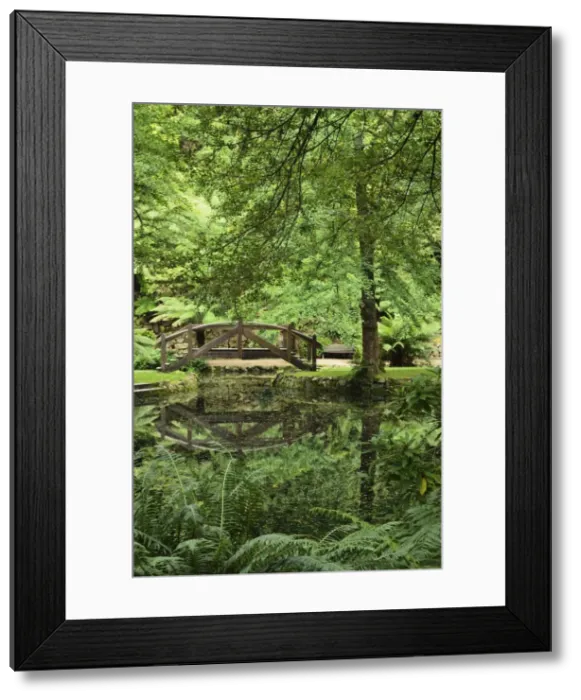 Framed Print : Alfred Nicholas Gardens, Dandenong Ranges National Park, Dandenong Ranges