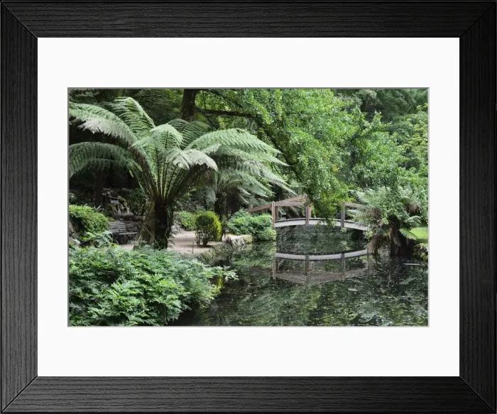 Framed Print : Alfred Nicholas Gardens, Dandenong Ranges National Park, Dandenong Ranges Framed Print : Alfred Nicholas Gardens, Dandenong Ranges National Park, Dandenong Ranges
