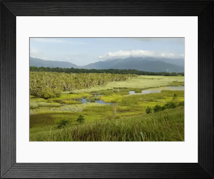Framed Print : Eubenangee Swamp, Babinda, Queensland, Australia, Pacific Framed Print : Eubenangee Swamp, Babinda, Queensland, Australia, Pacific