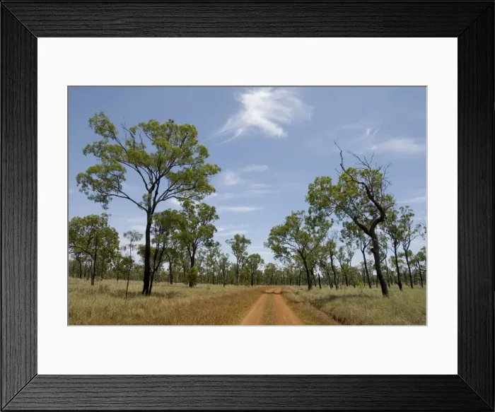 Framed Print : Open woodland, Undara Lava Tubes National Park, Queensland, Australia, Pacific Framed Print : Open woodland, Undara Lava Tubes National Park, Queensland, Australia, Pacific