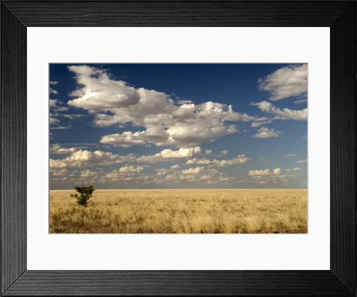 Framed Print : The dead-flat grasslands of the Barkly Tablelands, Northern Territory, Australia, Pacific Framed Print : The dead-flat grasslands of the Barkly Tablelands, Northern Territory, Australia, Pacific