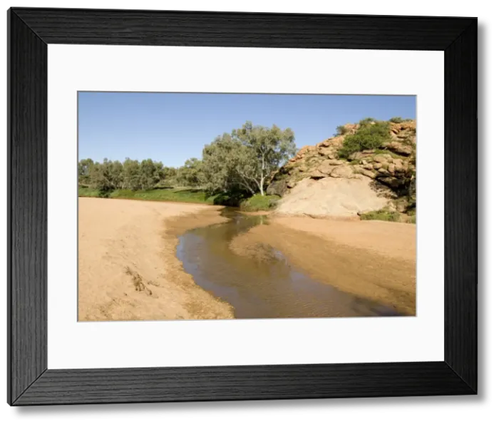Framed Print : The surviving pool in the normally dry riverbed, thought to be a spring from bedrock so was named Alice Springs, in the town of the same name, Alice Springs, Northern Territory Framed Print : The surviving pool in the normally dry riverbed, thought to be a spring from bedrock so was named Alice Springs, in the town of the same name, Alice Springs, Northern Territory