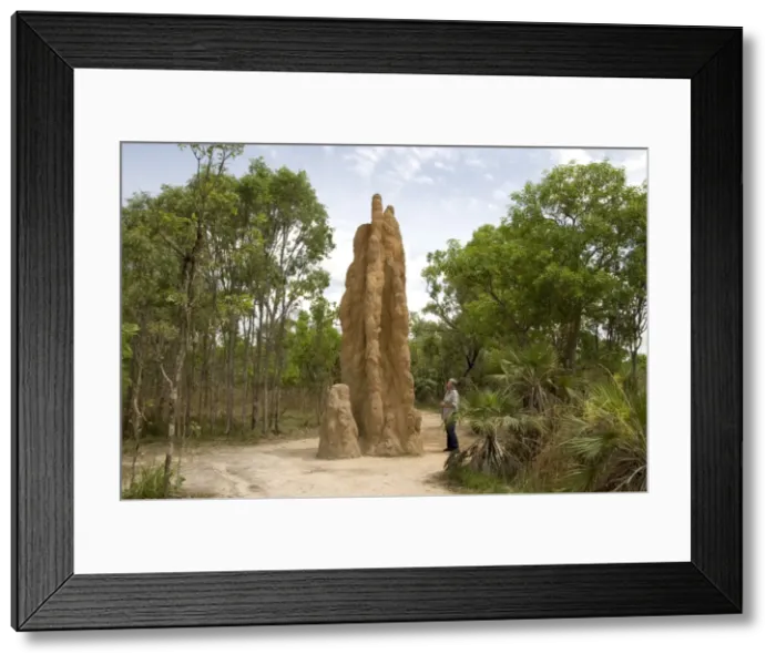 Framed Print : Castle termite hill, Litchfield National Park, Northern Territory, Australia, Pacific Framed Print : Castle termite hill, Litchfield National Park, Northern Territory, Australia, Pacific