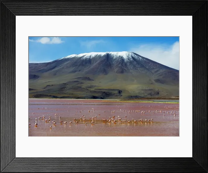 Framed Print : James Flamingo (Phoenicoparrus jamesi), at Laguna Colorado (Red Lake), Eduardo Avaroa Andean National Reserve, Bolivia Framed Print : James Flamingo (Phoenicoparrus jamesi), at Laguna Colorado (Red Lake), Eduardo Avaroa Andean National Reserve, Bolivia