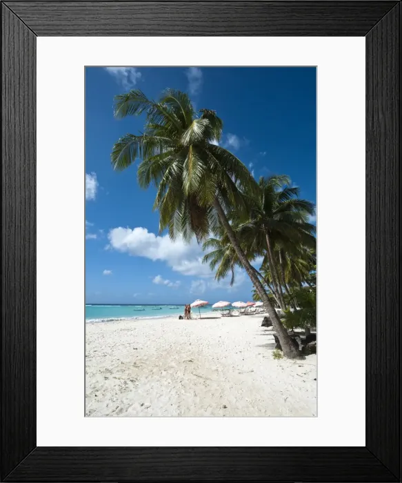 Framed Print : Carib Beach, Barbados, Windward Islands, West Indies, Caribbean, Central America Framed Print : Carib Beach, Barbados, Windward Islands, West Indies, Caribbean, Central America