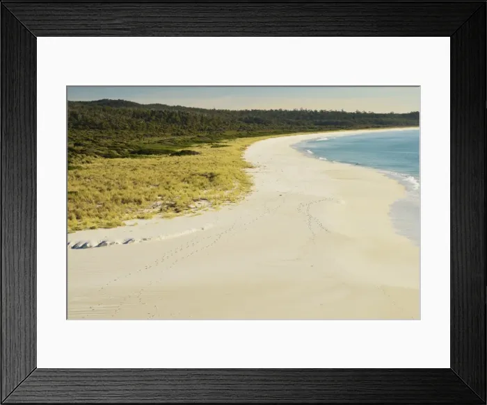 Framed Print : Beach at Sloop Lagoon, Bay of Fires, Bay of Fires Conservation Area, Tasmania Framed Print : Beach at Sloop Lagoon, Bay of Fires, Bay of Fires Conservation Area, Tasmania