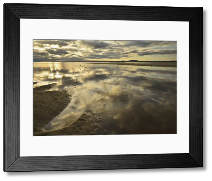 Framed Print : Shore at Anderson Bay, Bridport, Tasmania, Australia, Pacific Framed Print : Shore at Anderson Bay, Bridport, Tasmania, Australia, Pacific
