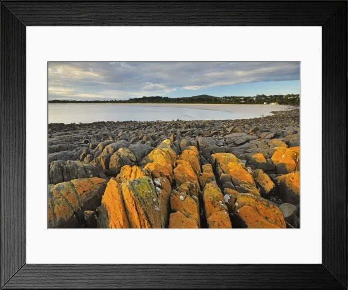 Framed Print : Lichen covered rocks, shore at Greens Beach, Tasmania, Australia, Pacific