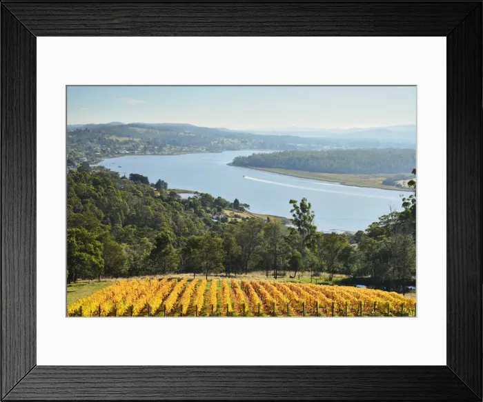 Framed Print : River Tamar, Tamar Valley, Tasmania, Australia, Pacific Framed Print : River Tamar, Tamar Valley, Tasmania, Australia, Pacific