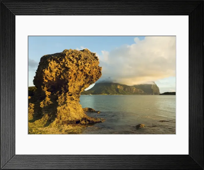Framed Print : Eroded calcarenite rock (cemented coral sands) with Mount Lidgbird and Mount Gower by the lagoon with the worlds most southerly coral reef, on this 10km long volcanic island in the Tasman Sea, Lord Howe Island, UNESCO World Heritage Site