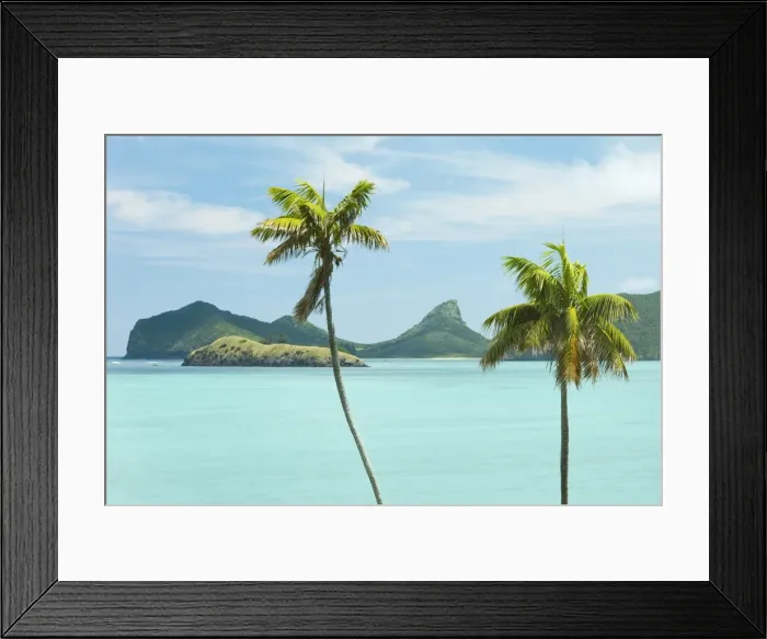 Framed Print : Endemic Kentia palms, also cultivated for worldwide sale, and lagoon with Mount Eliza beyond Framed Print : Endemic Kentia palms, also cultivated for worldwide sale, and lagoon with Mount Eliza beyond