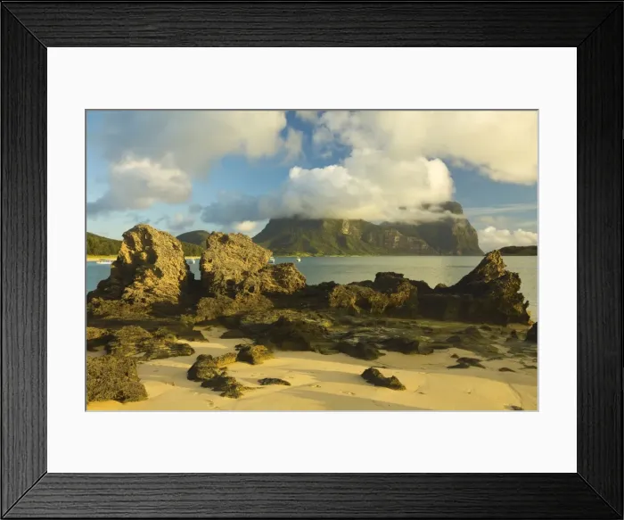 Framed Print : Eroded calcarenite rock (cemented coral sands) with Mount Lidgbird and Mount Gower by the lagoon with the worlds most southerly coral reef, on this 10km long volcanic island in the Tasman Sea, Lord Howe Island, UNESCO World Heritage Site Framed Print : Eroded calcarenite rock (cemented coral sands) with Mount Lidgbird and Mount Gower by the lagoon with the worlds most southerly coral reef, on this 10km long volcanic island in the Tasman Sea, Lord Howe Island, UNESCO World Heritage Site