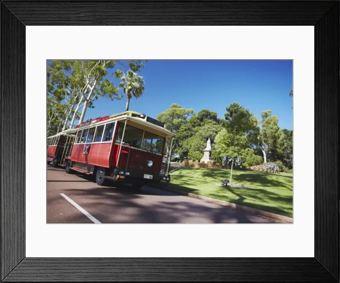 Framed Print : Perth tourist tram in Kings Park, Perth, Western Australia, Australia, Pacific Framed Print : Perth tourist tram in Kings Park, Perth, Western Australia, Australia, Pacific
