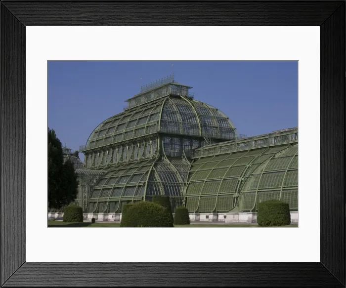 Framed Print : Palm House, Schonbrunn Palace Gardens, UNESCO World Heritage Site, Vienna Framed Print : Palm House, Schonbrunn Palace Gardens, UNESCO World Heritage Site, Vienna