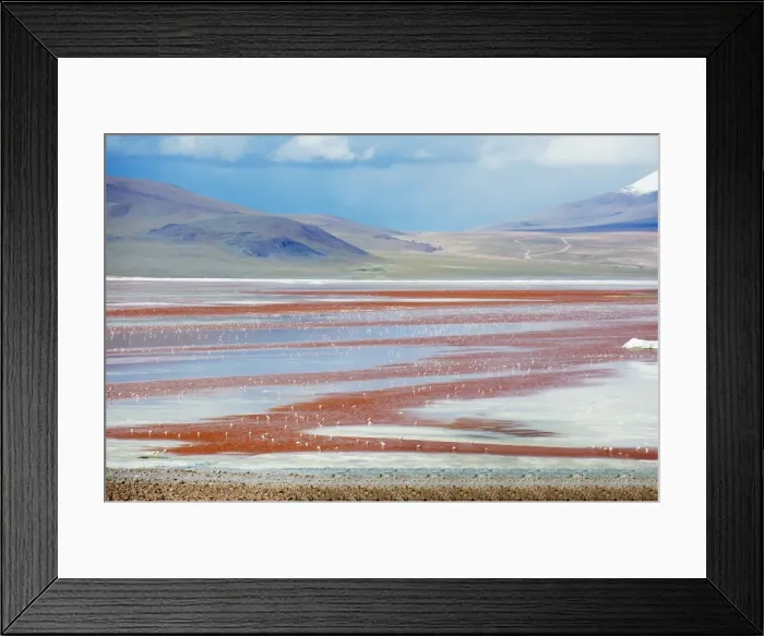 Framed Print : James Flamingo (Phoenicoparrus jamesi), at Laguna Colorado (Red Lake), Eduardo Avaroa Andean National Reserve, Bolivia Framed Print : James Flamingo (Phoenicoparrus jamesi), at Laguna Colorado (Red Lake), Eduardo Avaroa Andean National Reserve, Bolivia
