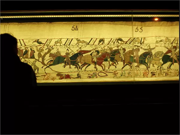 Bayeux Tapestry known in France as La Tapisserie de la Reine Mathilde