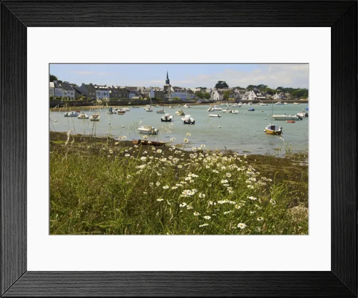 Framed Print : Harbour and church, panorama with daisies in the foreground, at Locmariaquer Framed Print : Harbour and church, panorama with daisies in the foreground, at Locmariaquer