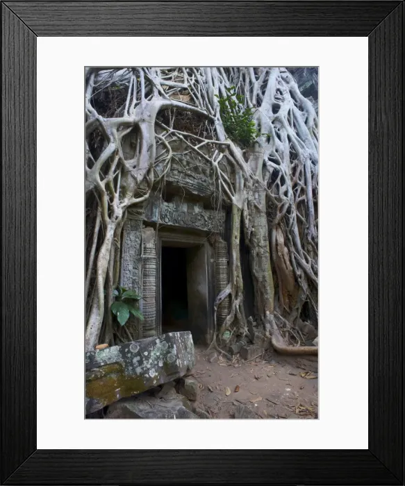 Framed Print : Tree roots around entrance to Ta Prohm temple built in 1186 by King Jayavarman VII Framed Print : Tree roots around entrance to Ta Prohm temple built in 1186 by King Jayavarman VII