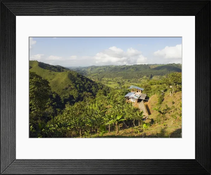 Framed Print : Finca Don Eduardo, coffee farm, Salento, Colombia, South America Framed Print : Finca Don Eduardo, coffee farm, Salento, Colombia, South America