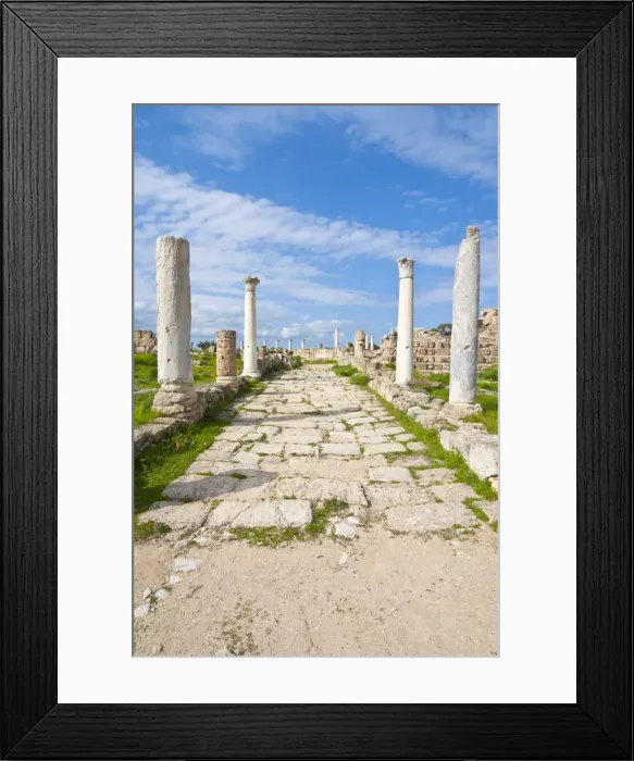 Framed Print : Roman ruins of Salamis, Turkish part of Cyprus, Cyprus, Europe Framed Print : Roman ruins of Salamis, Turkish part of Cyprus, Cyprus, Europe