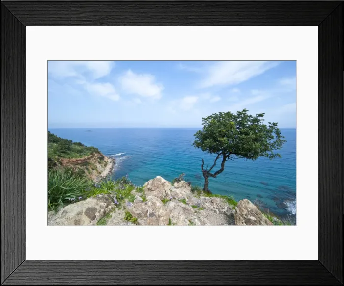 Framed Print : The turquoise waters on the Akamas peninsula, Cyprus, Mediterranean, Europe Framed Print : The turquoise waters on the Akamas peninsula, Cyprus, Mediterranean, Europe