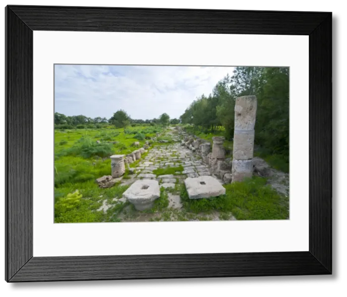 Framed Print : The Roman ruins of Salamis, Turkish part of Cyprus, Europe Framed Print : The Roman ruins of Salamis, Turkish part of Cyprus, Europe