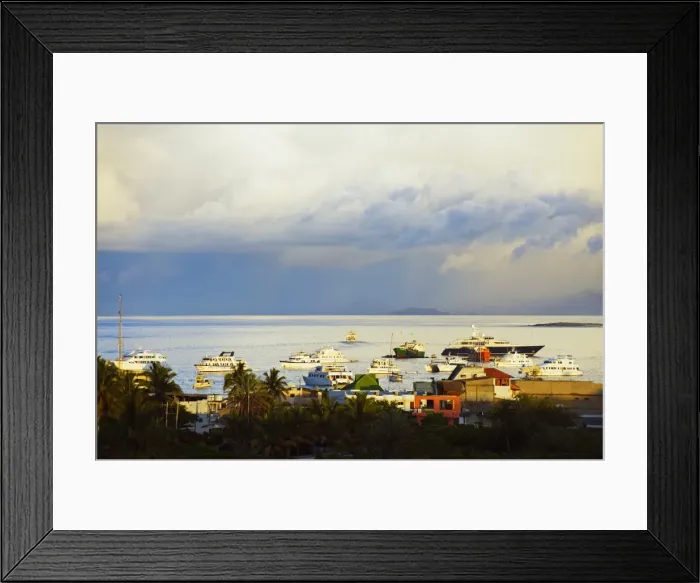 Framed Print : Harbour of Puerto Ayora, Isla Santa Cruz, Galapagos Islands, UNESCO World Heritage Site Framed Print : Harbour of Puerto Ayora, Isla Santa Cruz, Galapagos Islands, UNESCO World Heritage Site