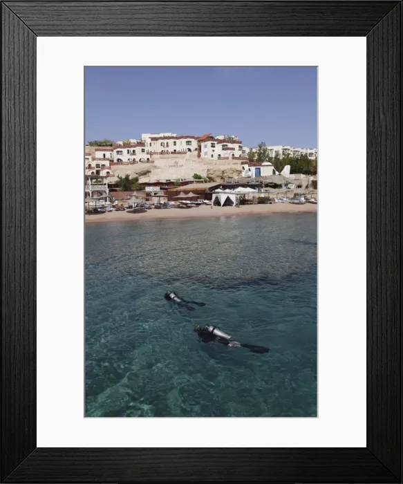 Framed Print : Scuba divers enjoy the clear Red Sea waters at Sharks Bay, Sharm el-Sheikh Framed Print : Scuba divers enjoy the clear Red Sea waters at Sharks Bay, Sharm el-Sheikh