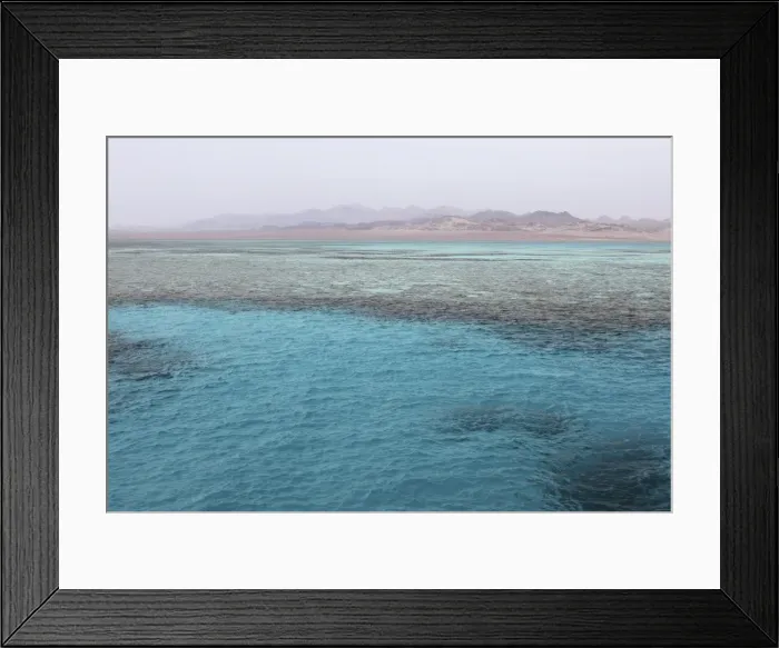 Framed Print : Clear Red Sea waters, Ras Mohammed National Park, Sinai South, Egypt, North Africa Framed Print : Clear Red Sea waters, Ras Mohammed National Park, Sinai South, Egypt, North Africa