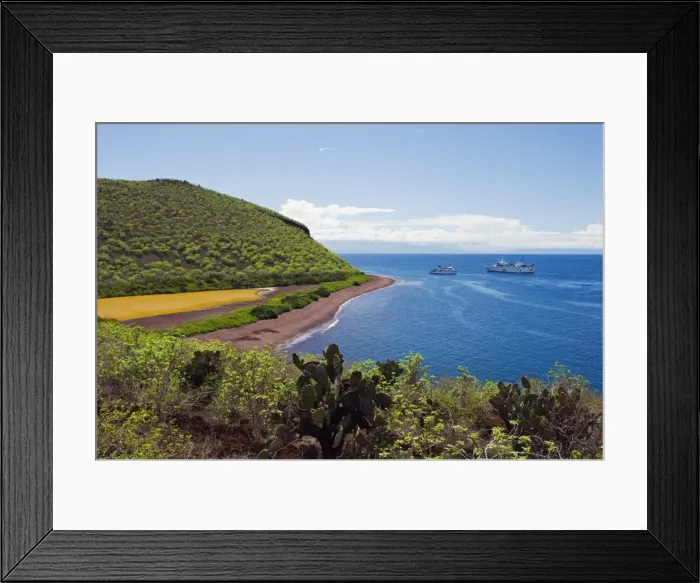 Framed Print : Galapagos Islands, UNESCO World Heritage Site, Ecuador, South America Framed Print : Galapagos Islands, UNESCO World Heritage Site, Ecuador, South America